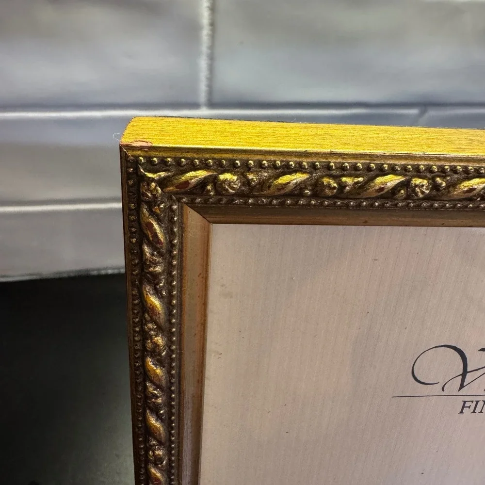 Malden Picture Frame 8x10 Gold Viva Roma Fine Italian Design Ornate Rope Border